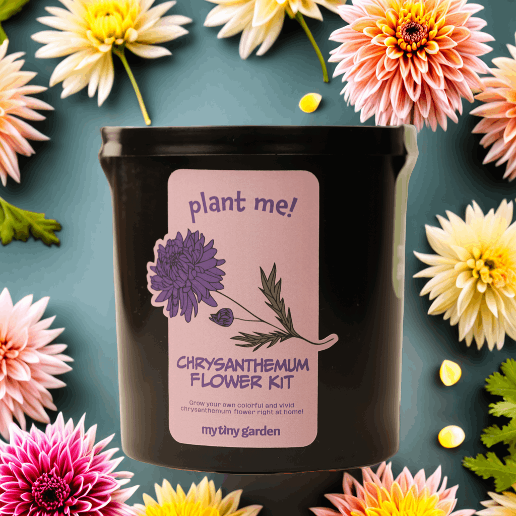 Çiçek Gibi Annem görsel 4