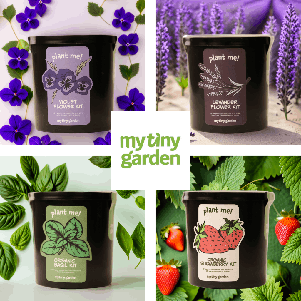 Birlikte Büyüyelim