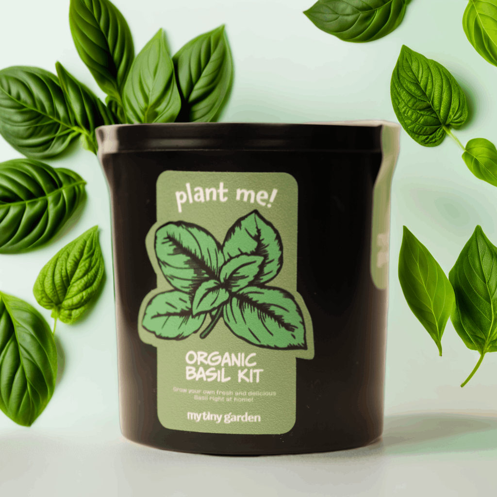 Birlikte Büyüyelim görsel 4