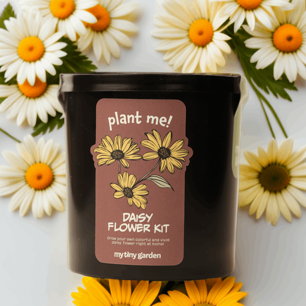 Masa Üstü Renkleri görsel 2