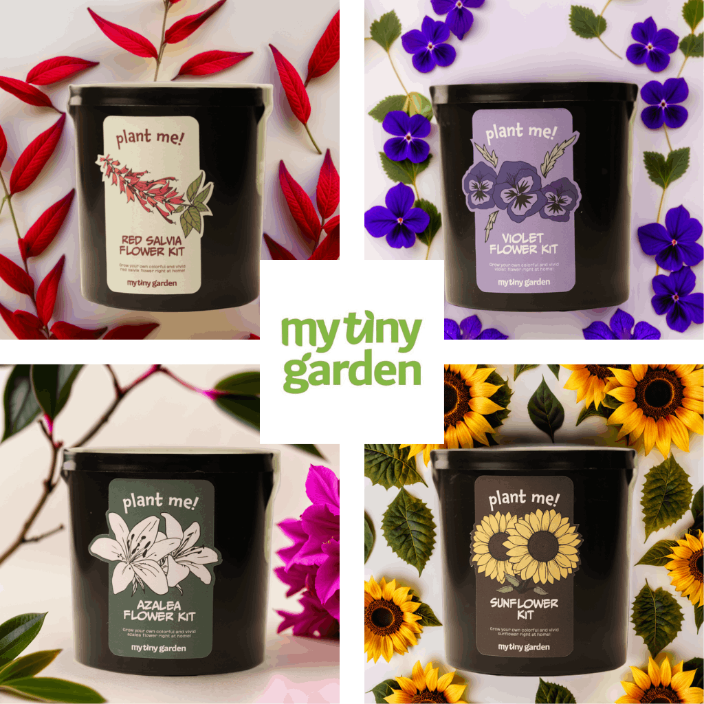 Renklerin Diliyle Annem