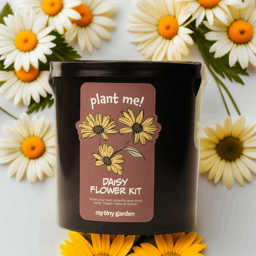 Renkli Bahçem Paketi görsel 3