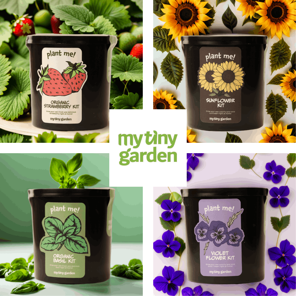 Renkli Bahçem Paketi