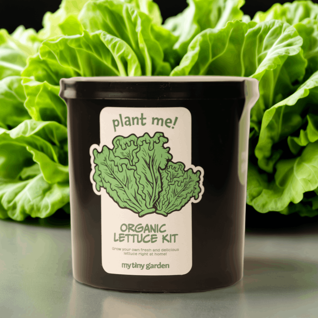 Fit Yeşillikler Paketi görsel 3