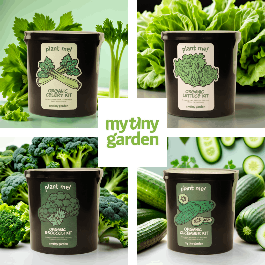 Fit Yeşillikler Paketi