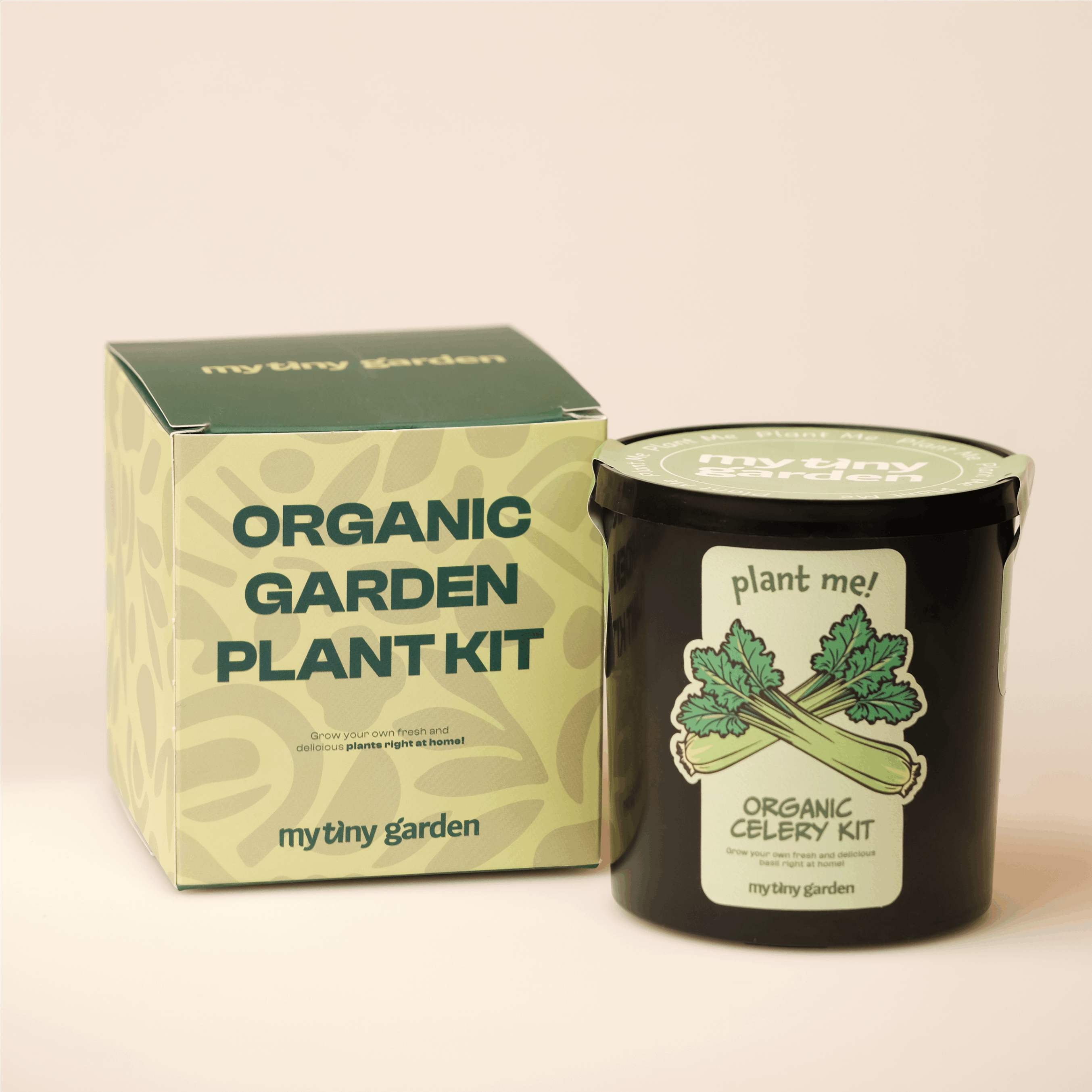 Kereviz Kiti görsel 2