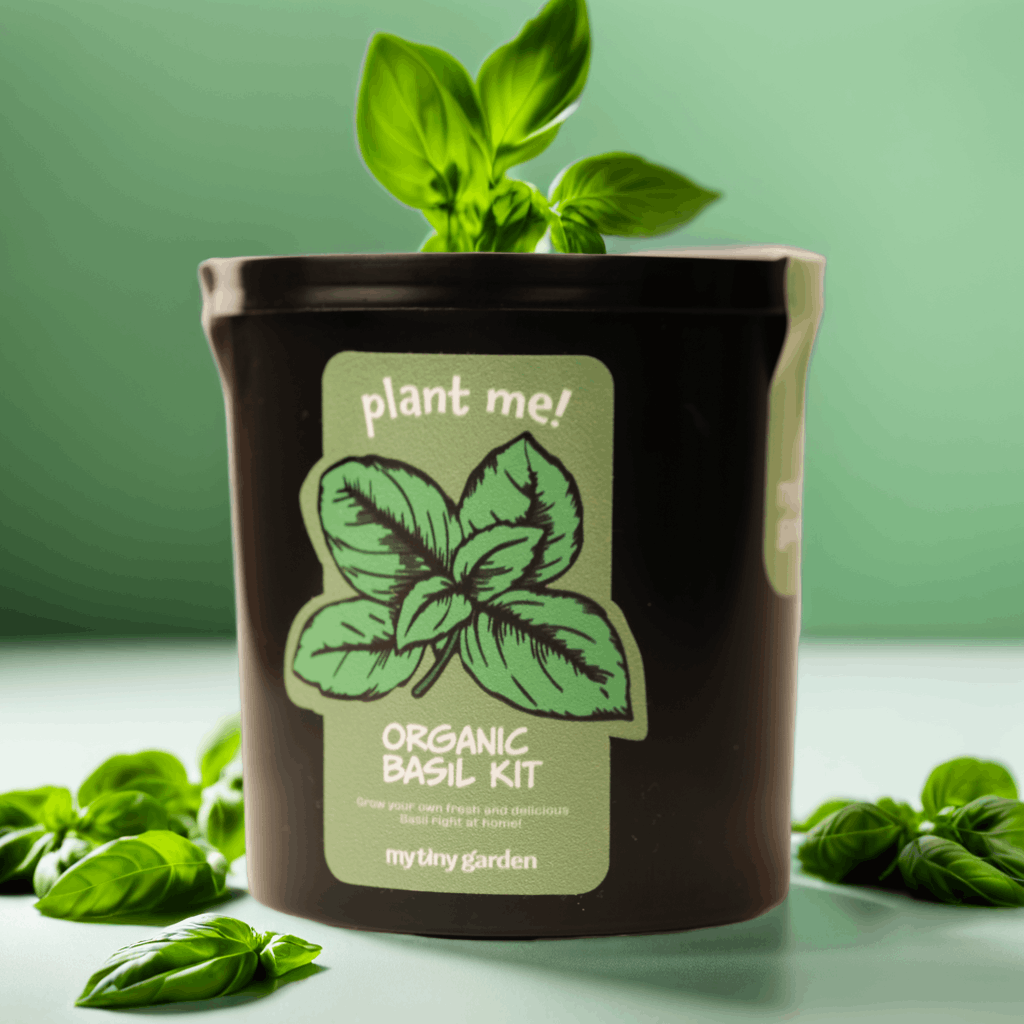 Mis Kokulu Mutfak görsel 3