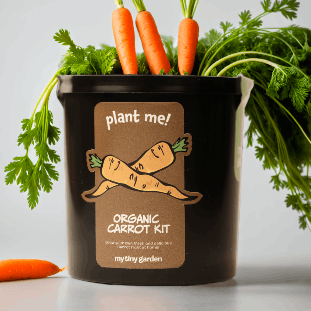 Minik Şefin Bahçesi görsel 3