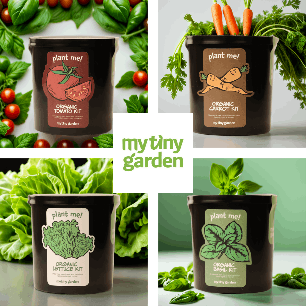 Minik Şefin Bahçesi