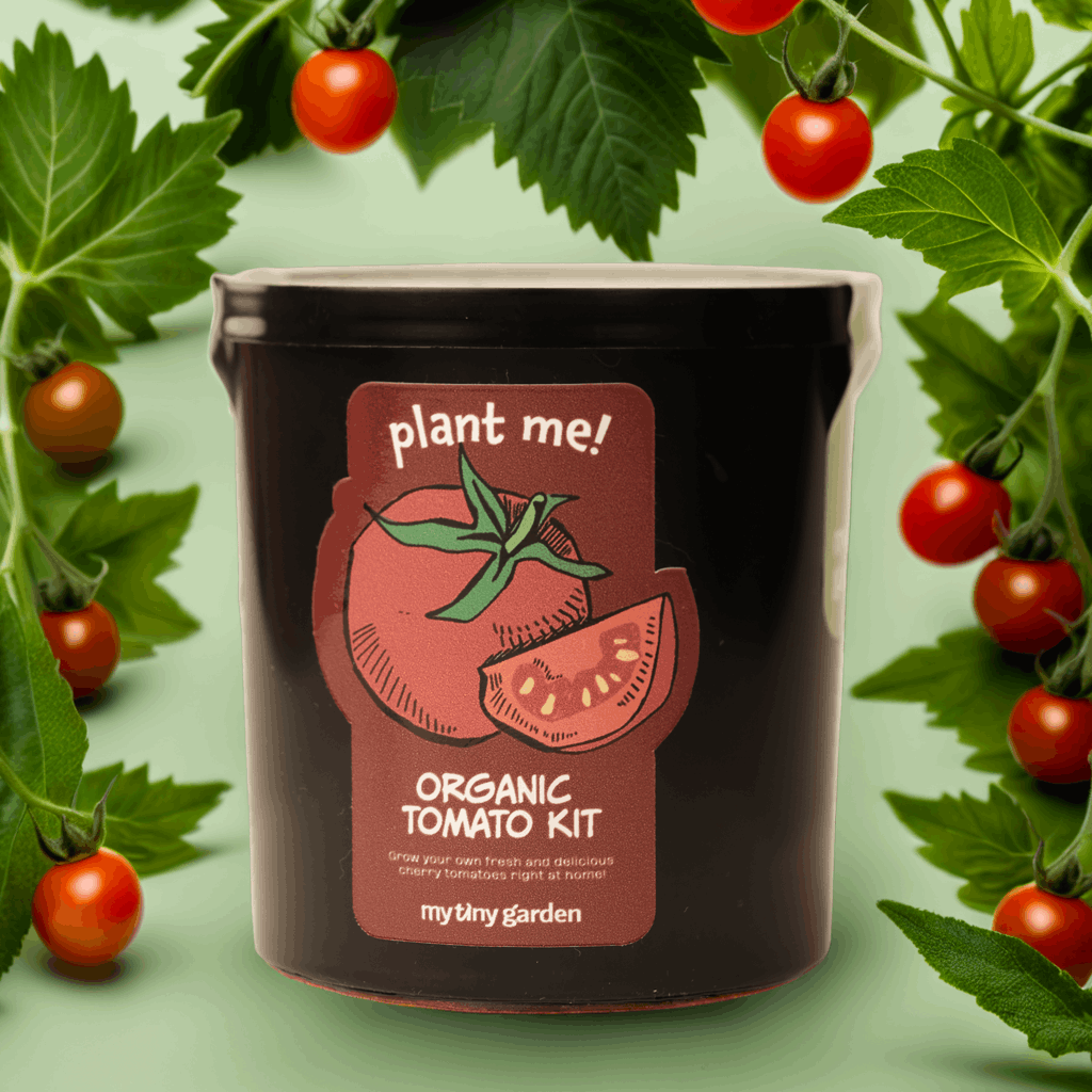 Minik Şefin Bahçesi görsel 2