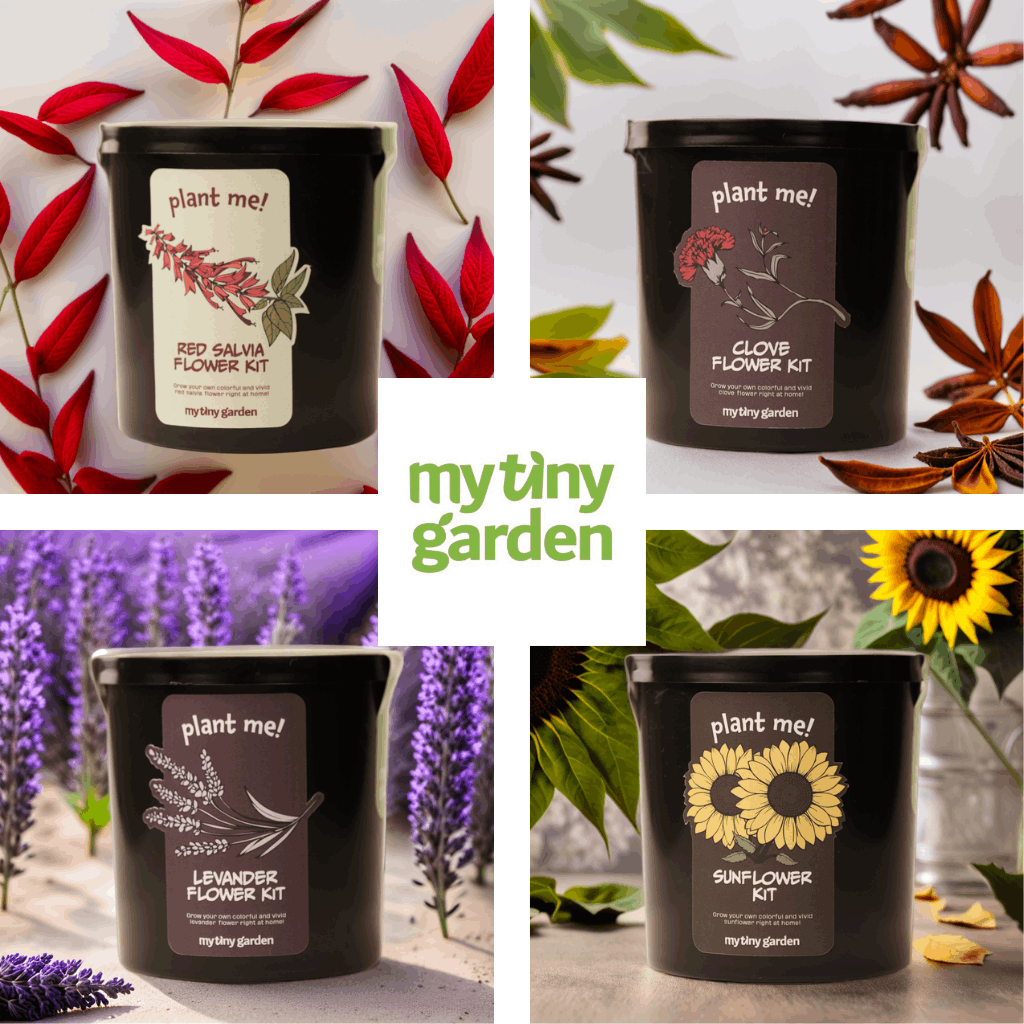 Aşkın Renkleri Paketi