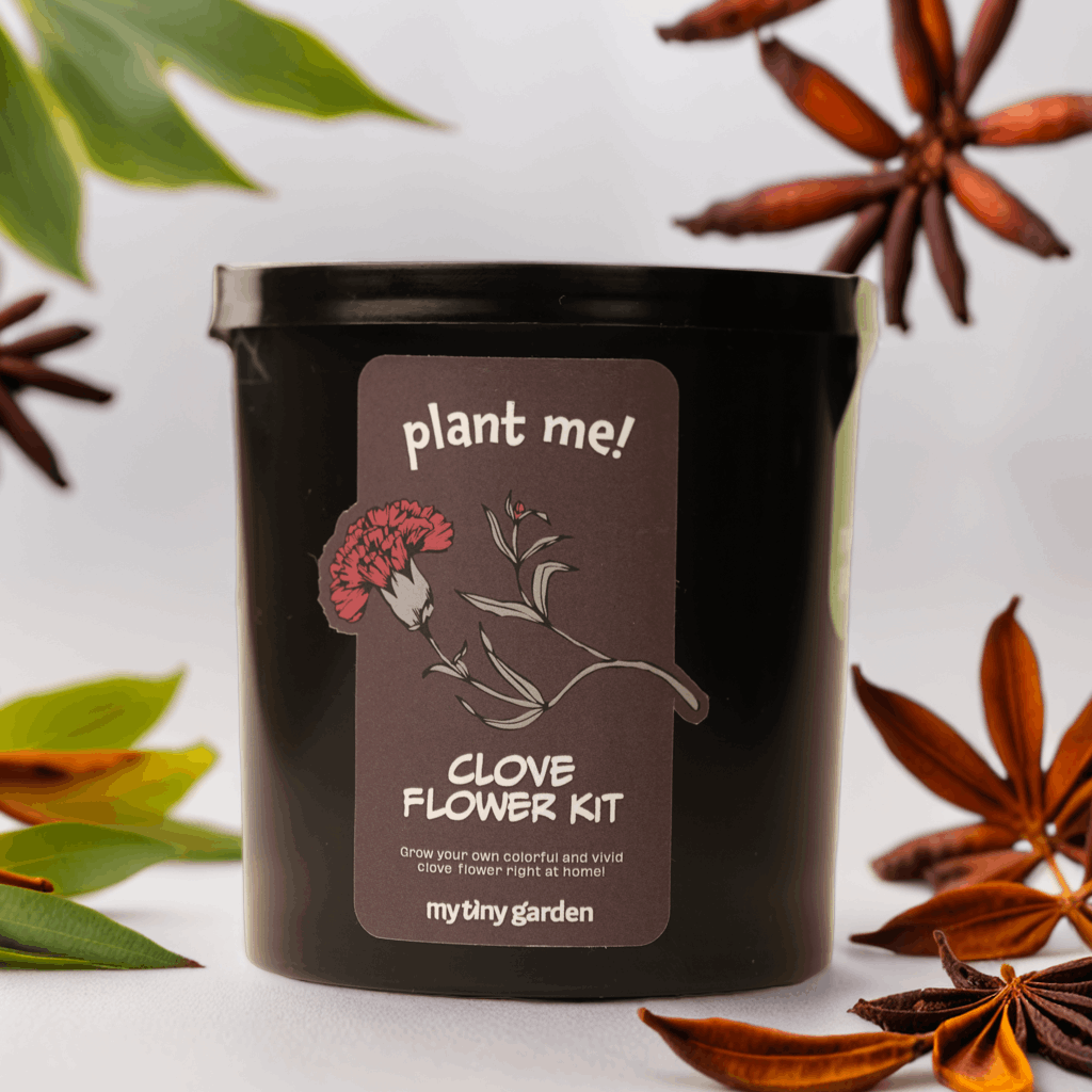 Aşkın Renkleri Paketi görsel 3