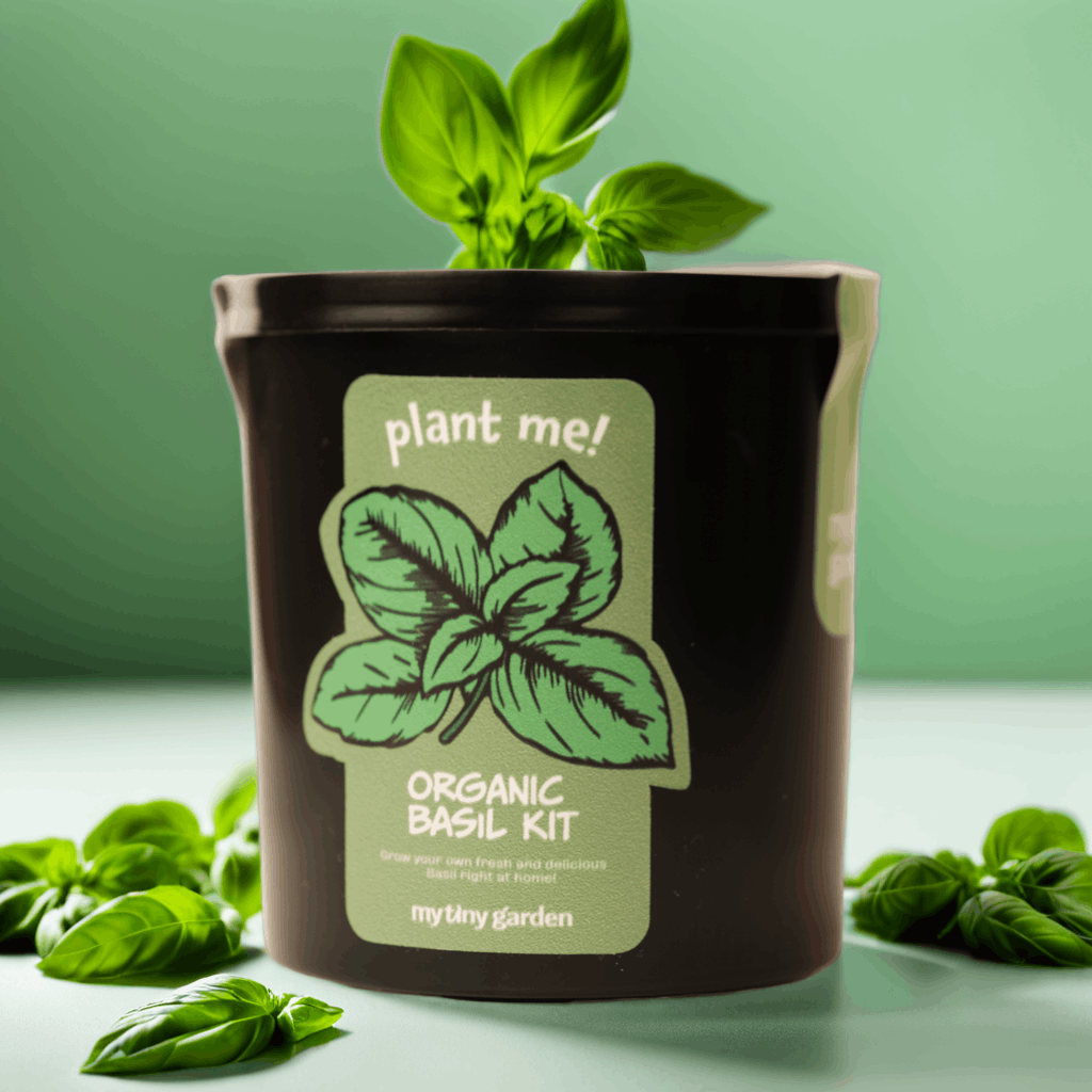 Toplantı Arası Ferahlık görsel 3