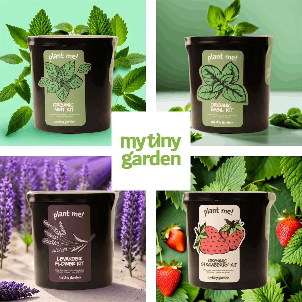 Toplantı Arası Ferahlık