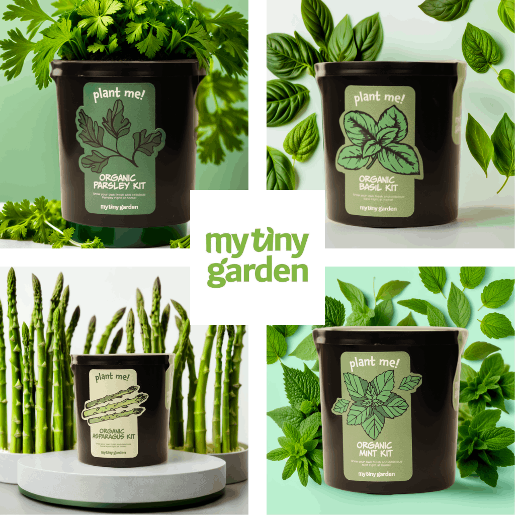 Şefin Mini Bahçesi