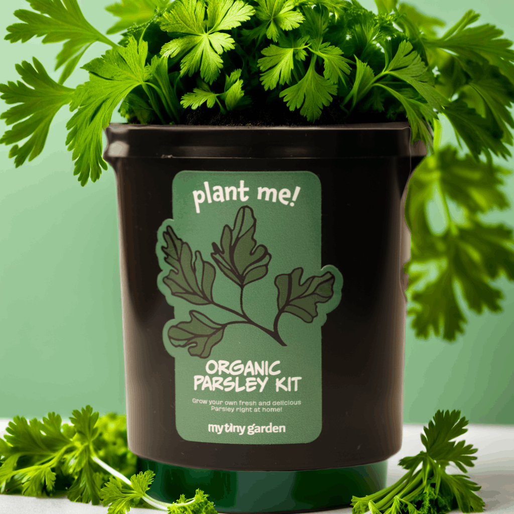 Şefin Mini Bahçesi görsel 2