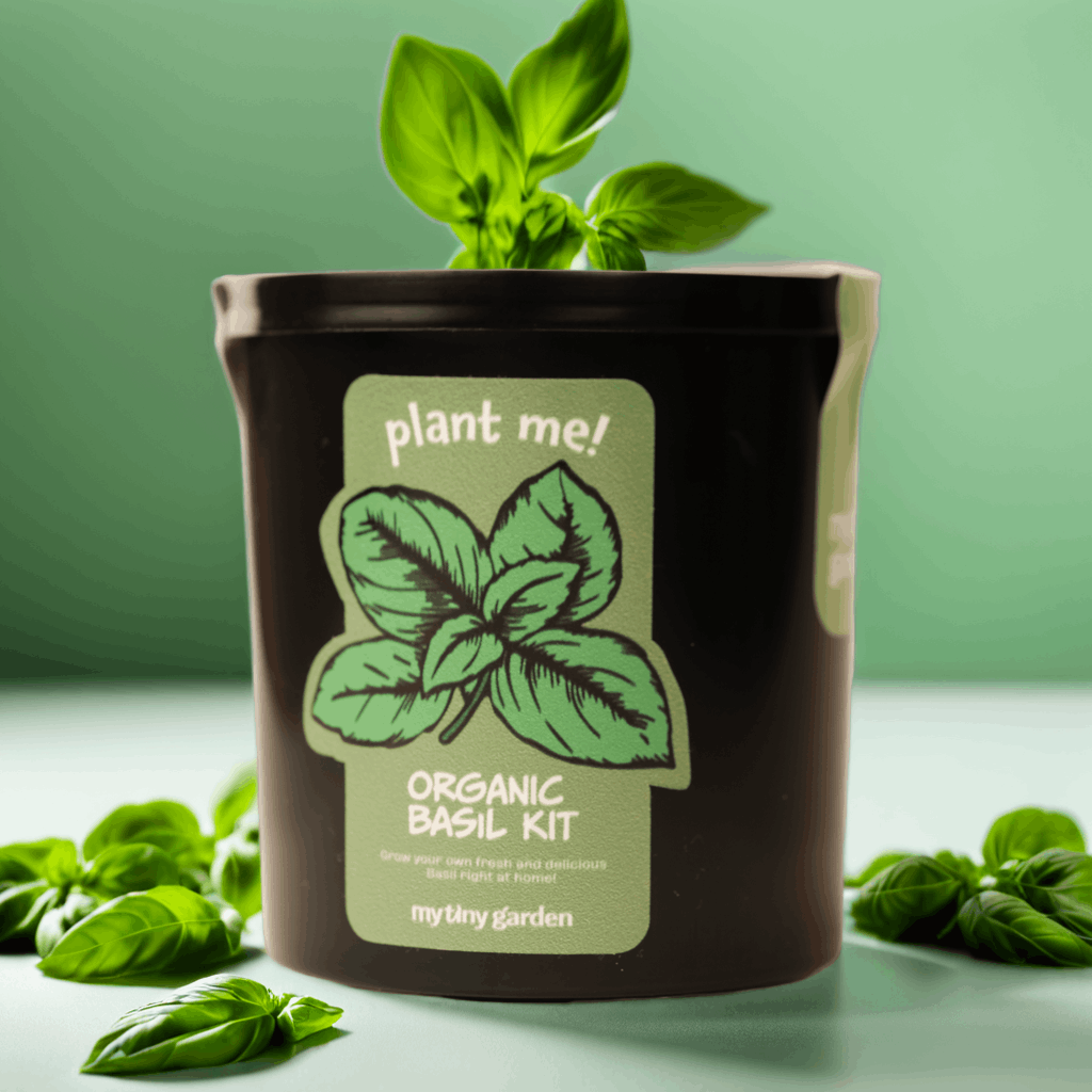 Şefin Mini Bahçesi görsel 3