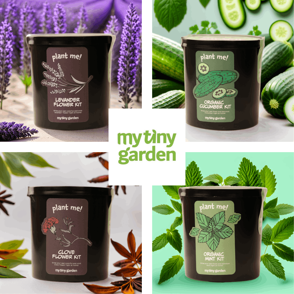 Bahçem Seninle Güzel