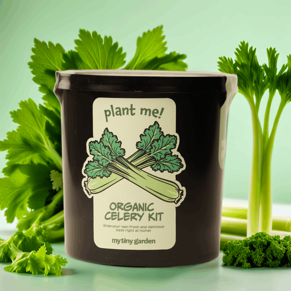 Gurme Sebze Seti görsel 5