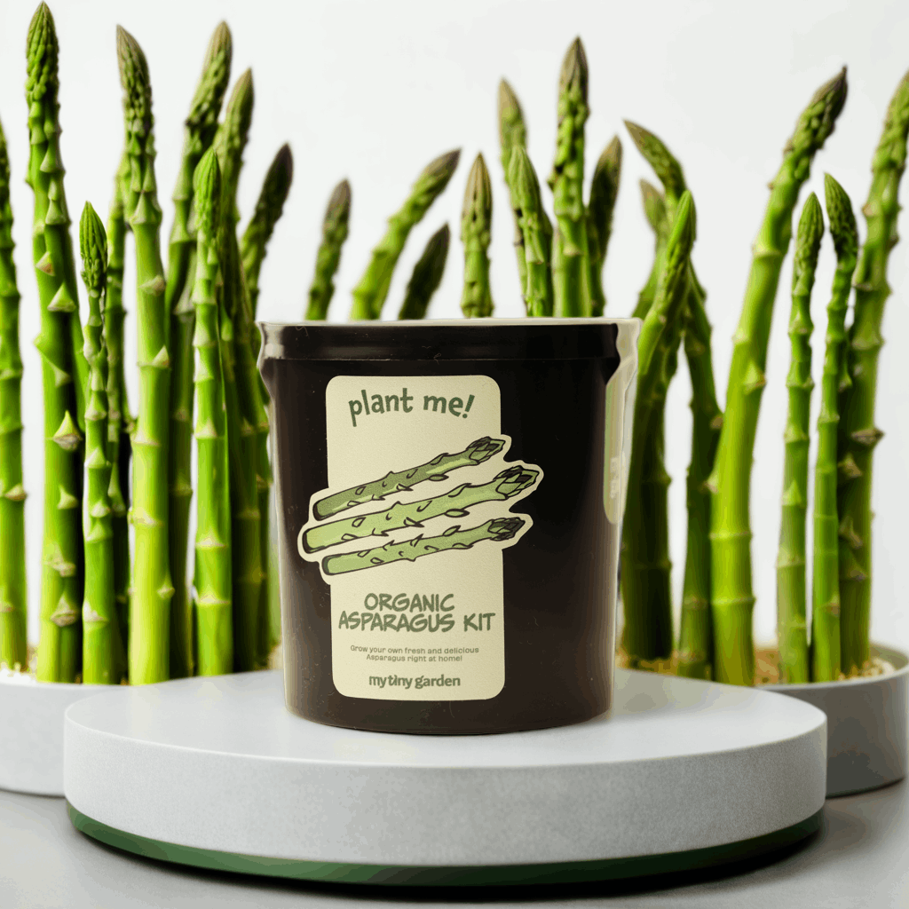 Gurme Sebze Seti görsel 2