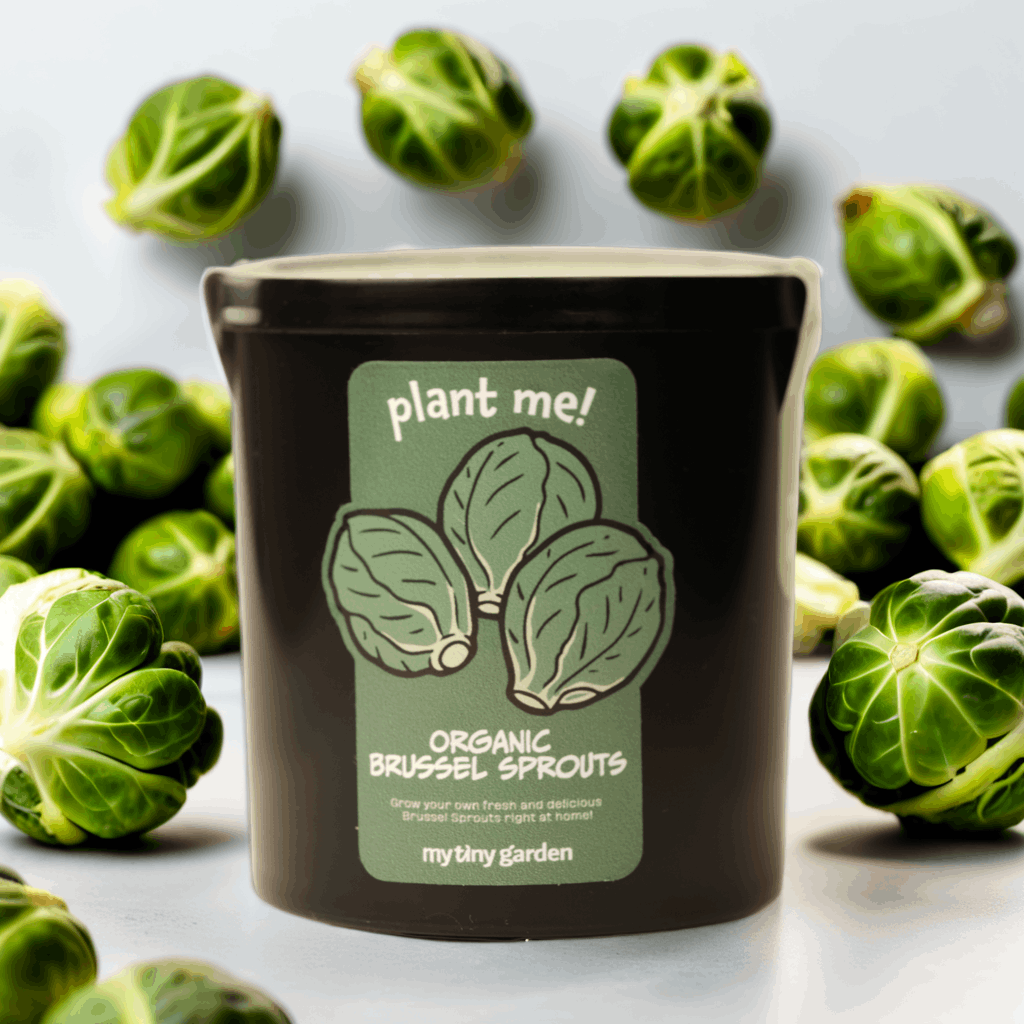 Gurme Sebze Seti görsel 4