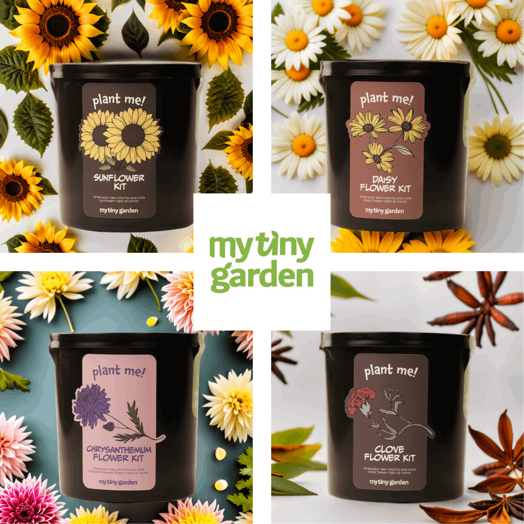 Gülümseten Masalar