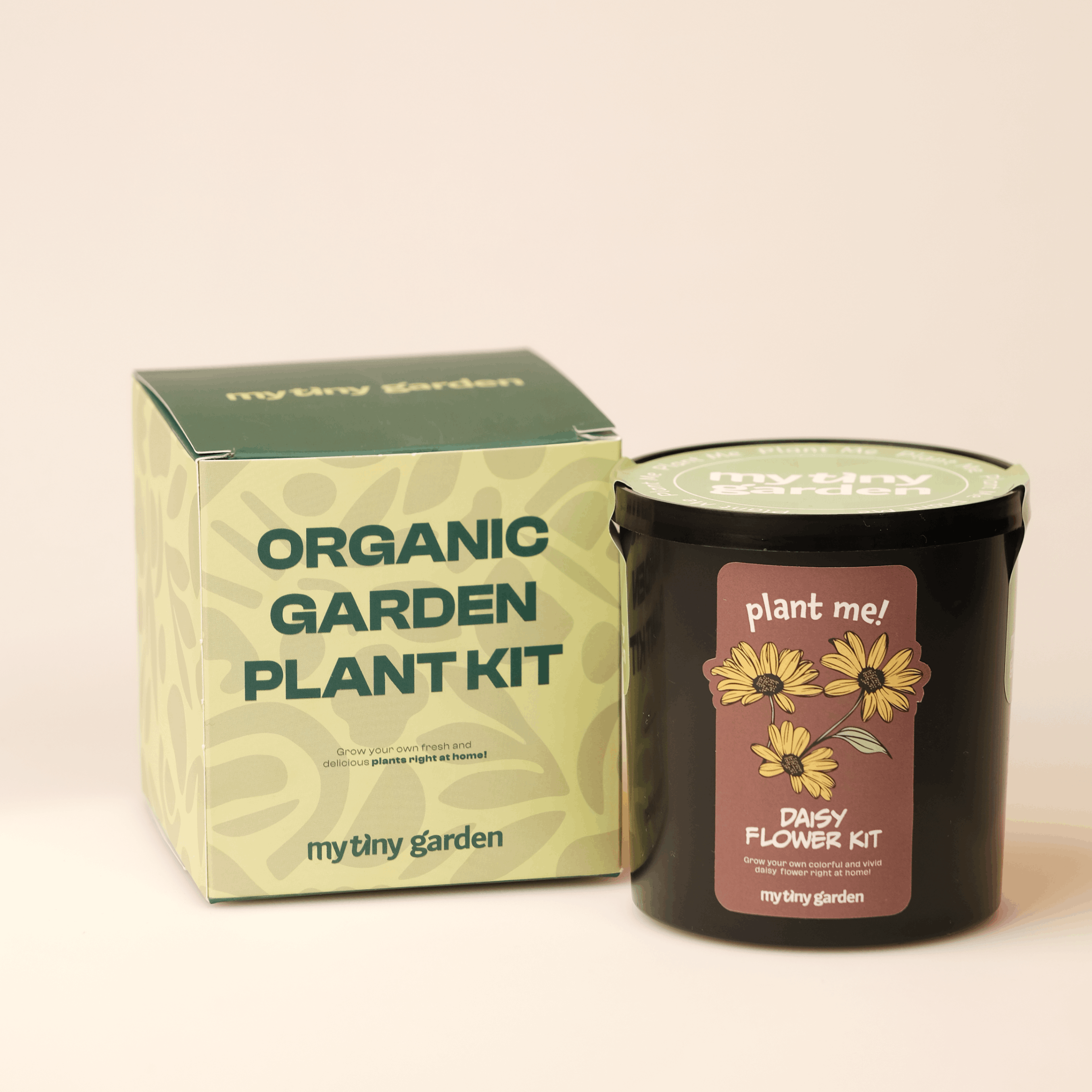 Sarı Papatya görsel 2