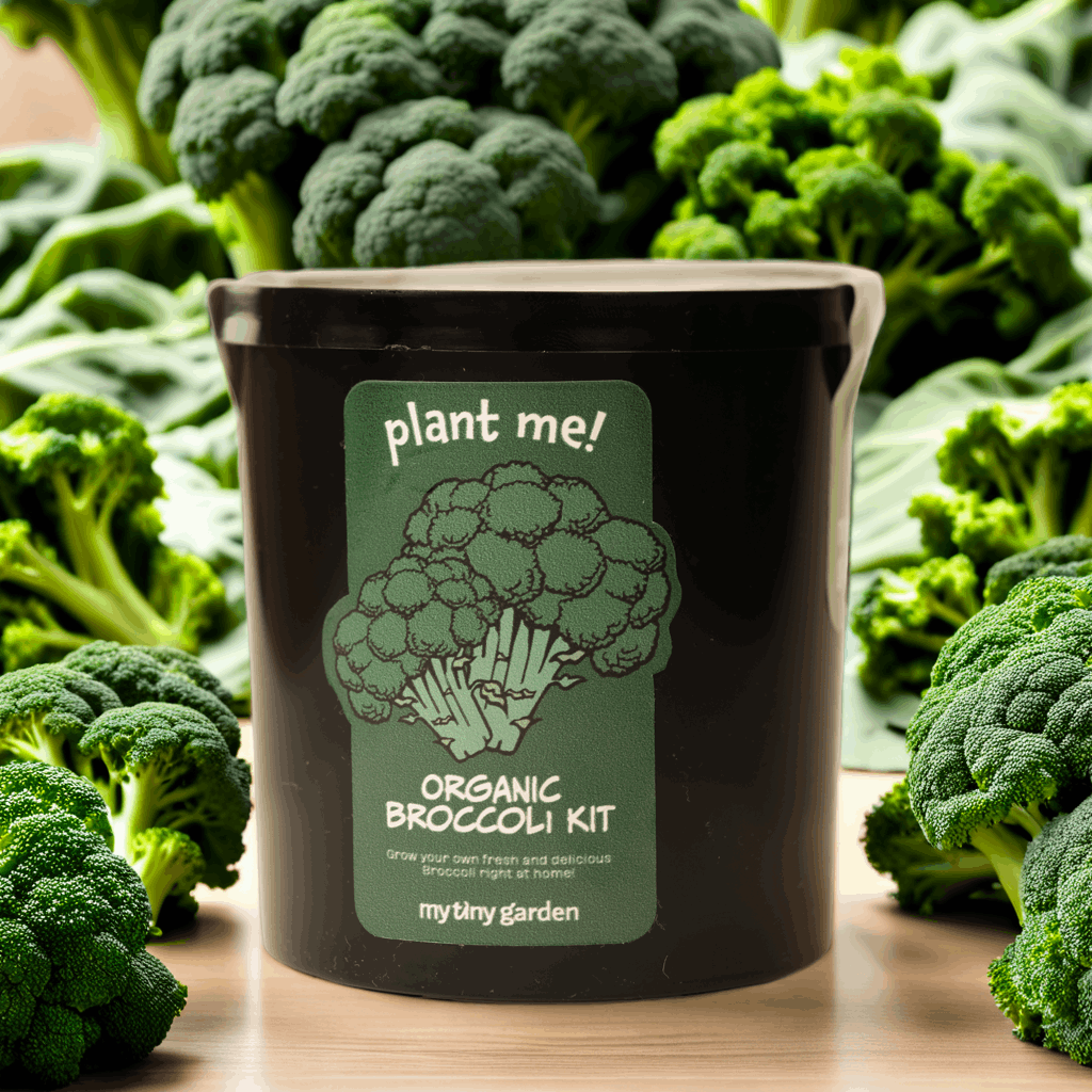 Bitki Yetiştirme Kitleri