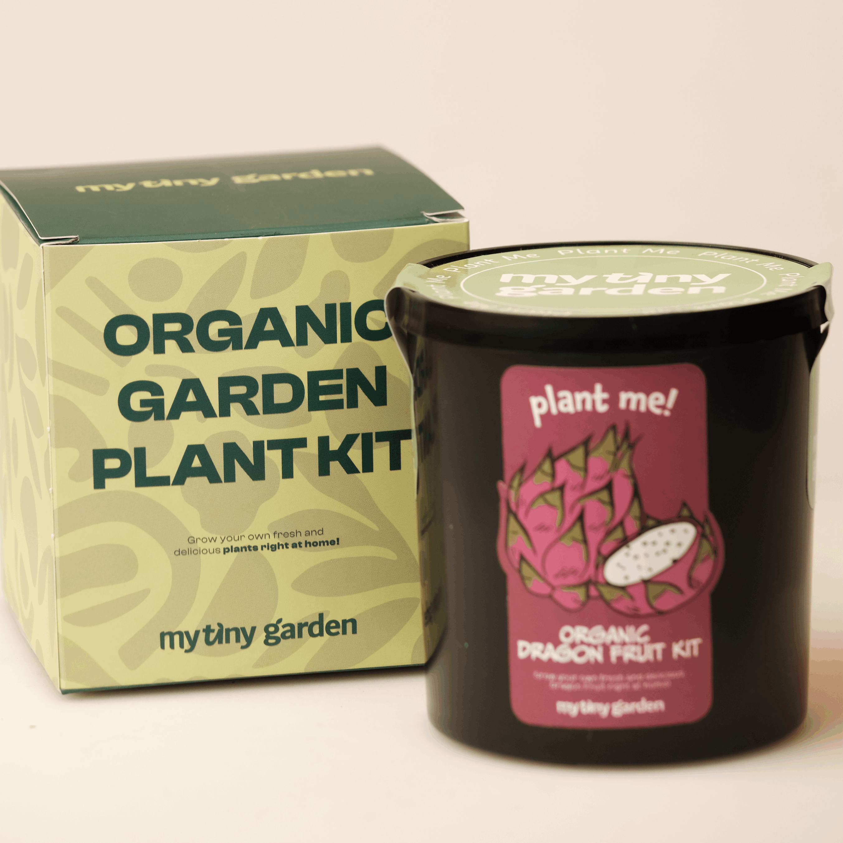 Ejder Meyvesi Kiti görsel 2