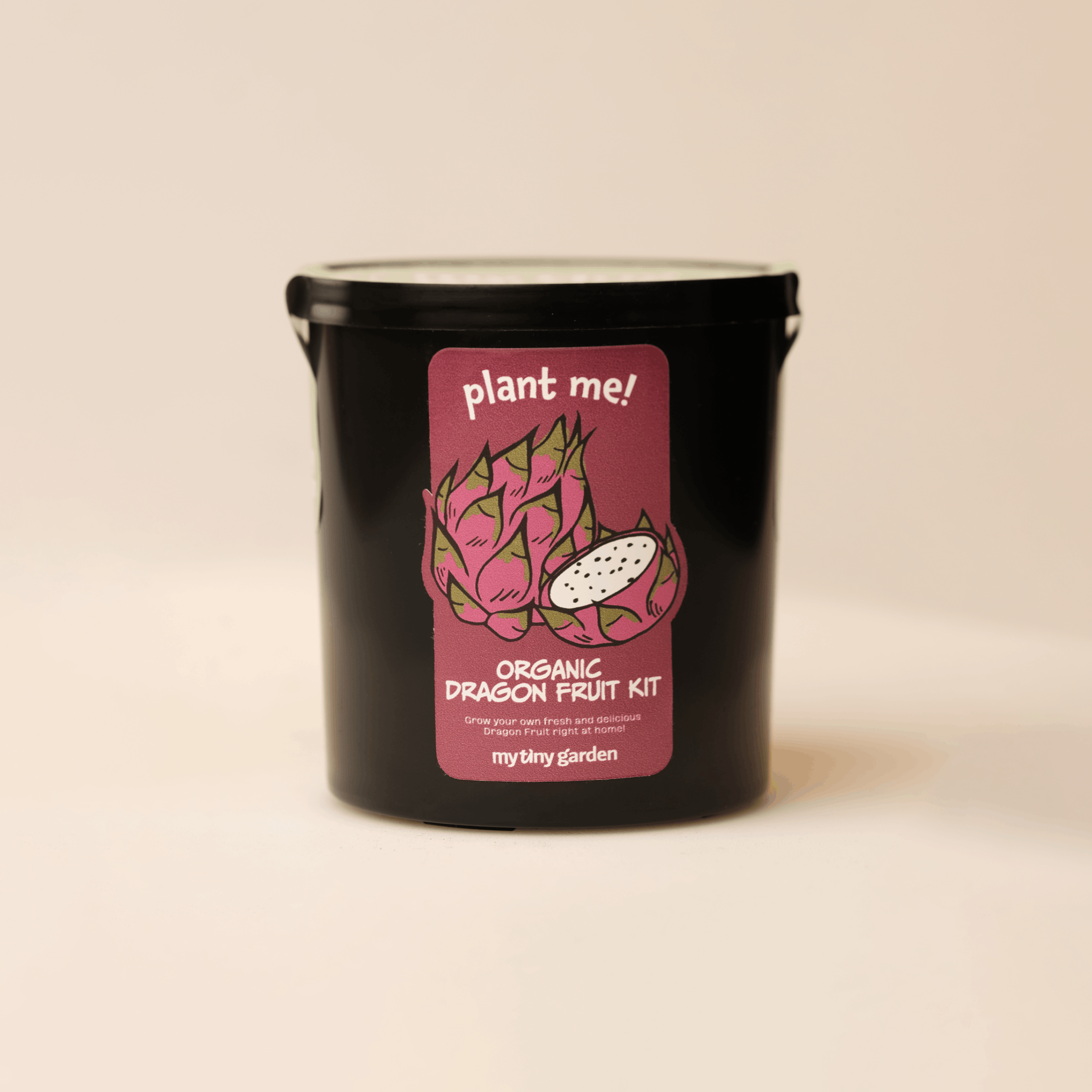 Ejder Meyvesi Kiti görsel 3