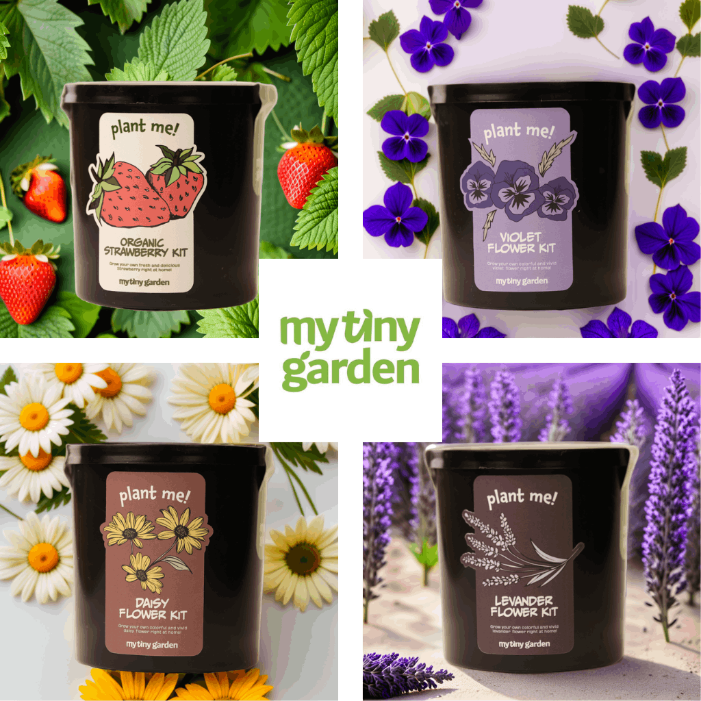 Minik Bahçede Parti