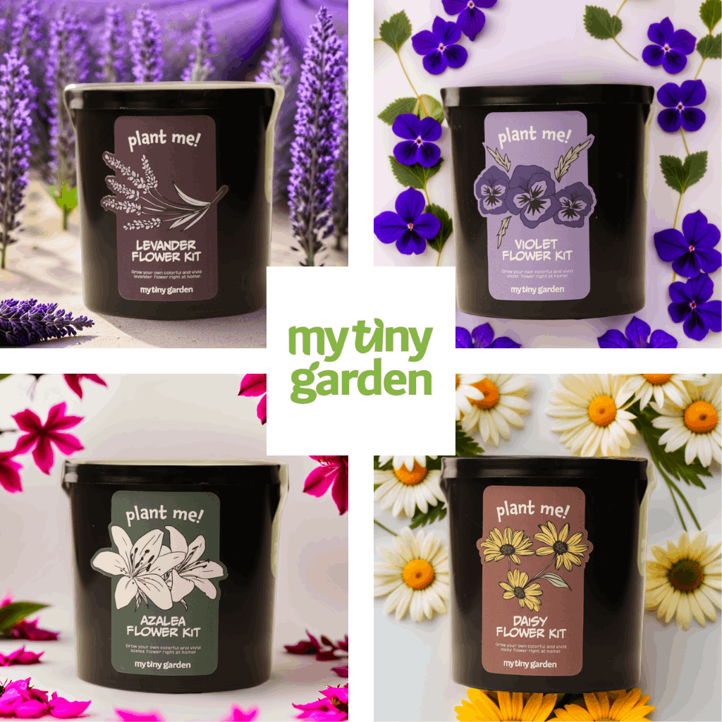 Kahve Yanı Çiçekler