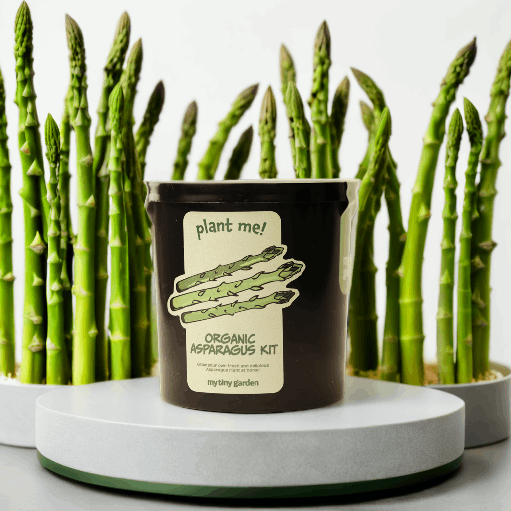 Taze Bir Mola görsel 5