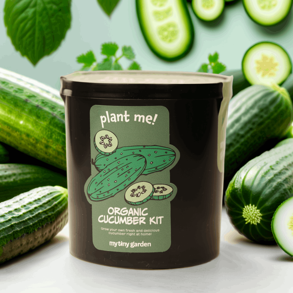 Taze Bir Mola görsel 4