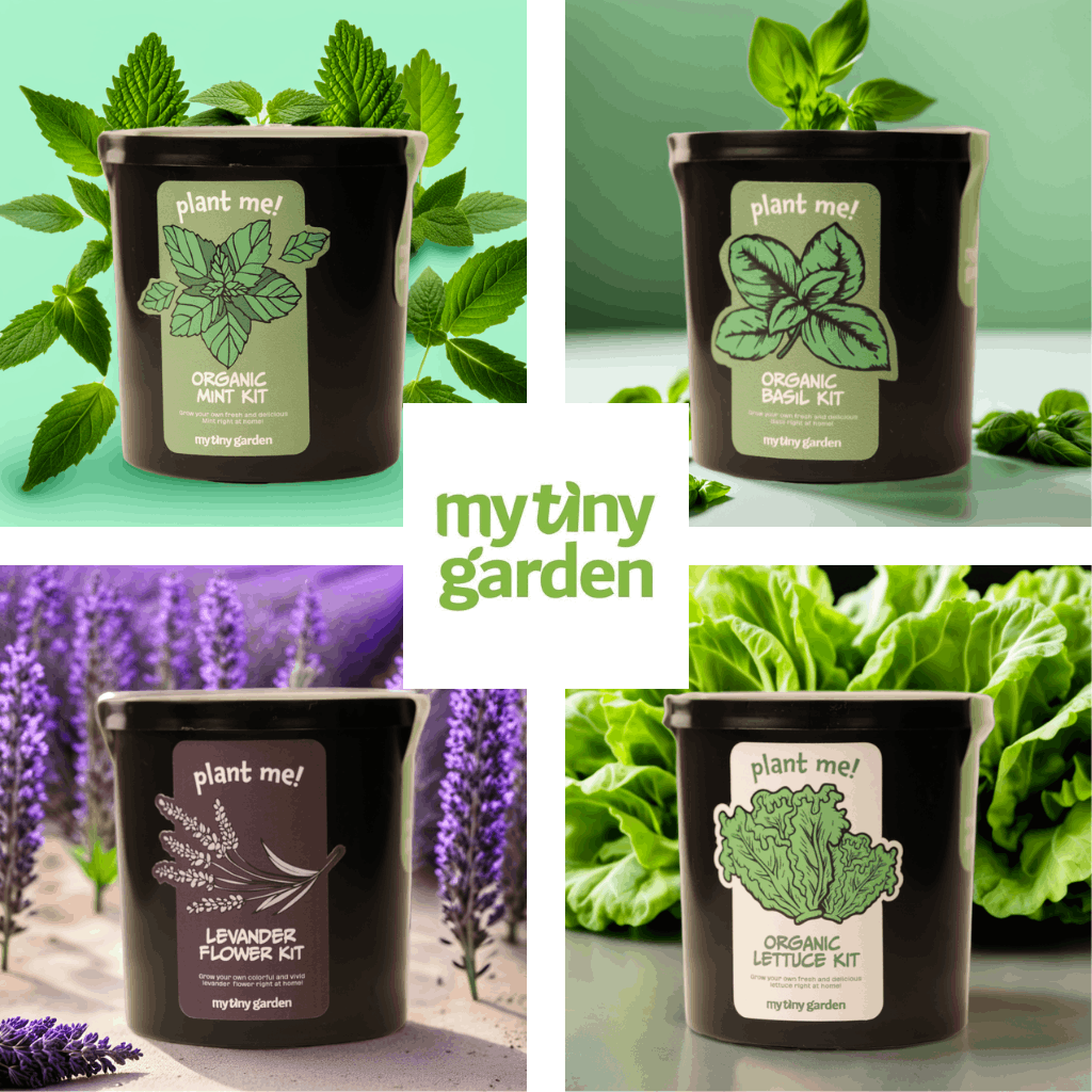 Mini Doğa Laboratuvarı