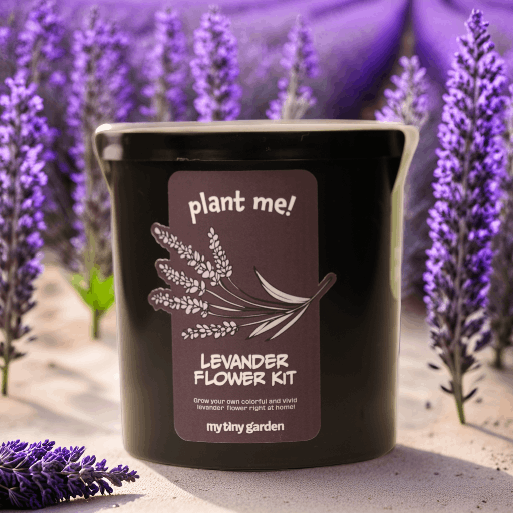 Mini Doğa Laboratuvarı görsel 4