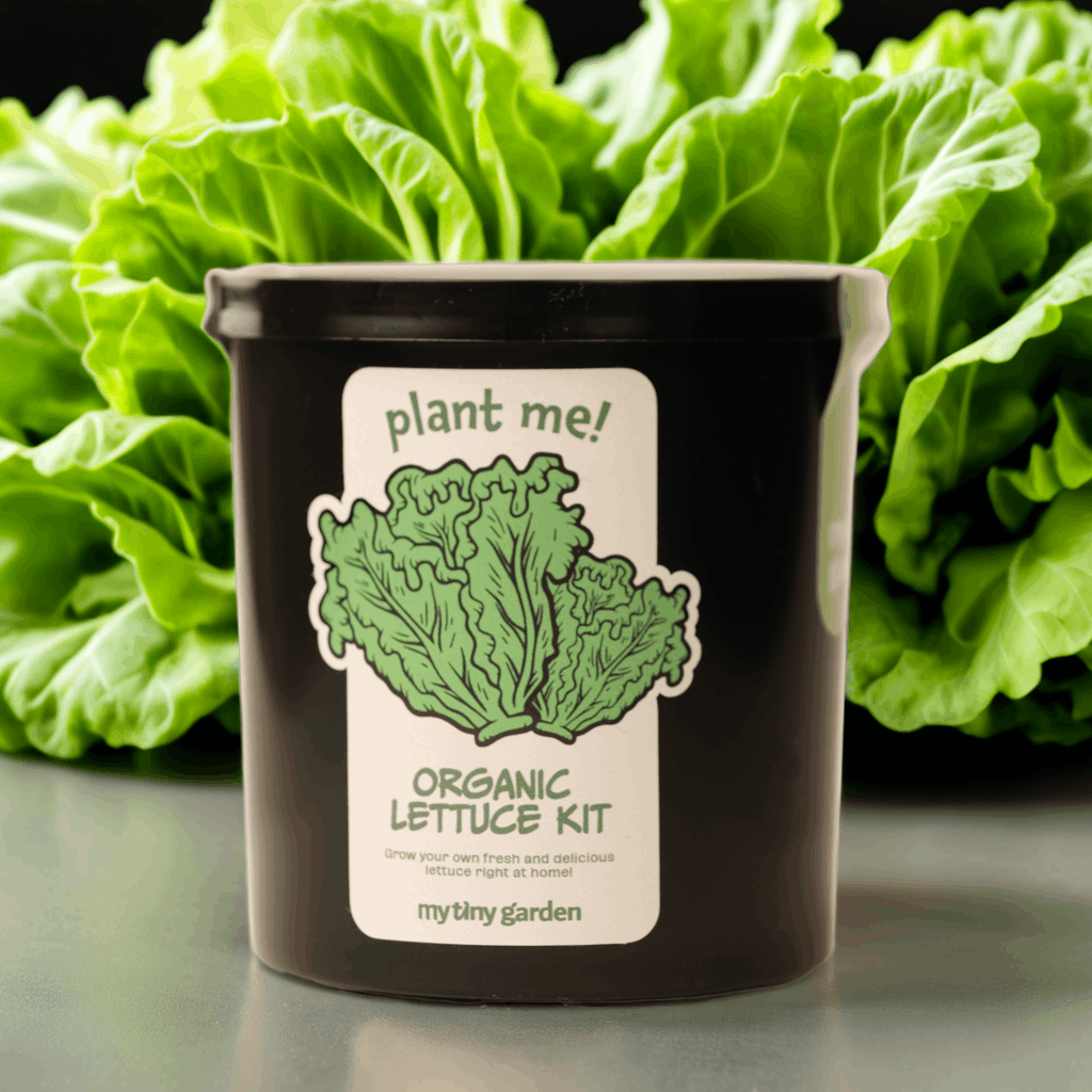 Mini Doğa Laboratuvarı görsel 5