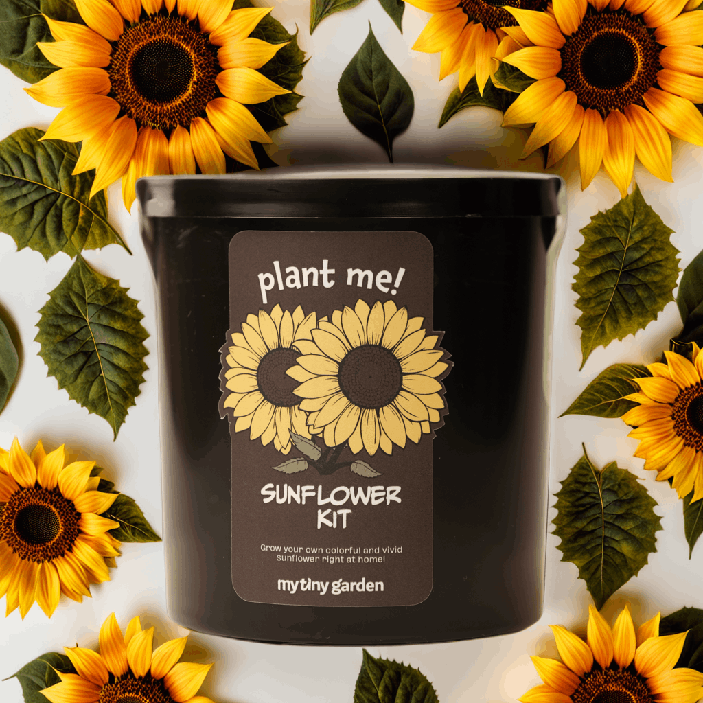 Güneşli Günler Paketi görsel 2