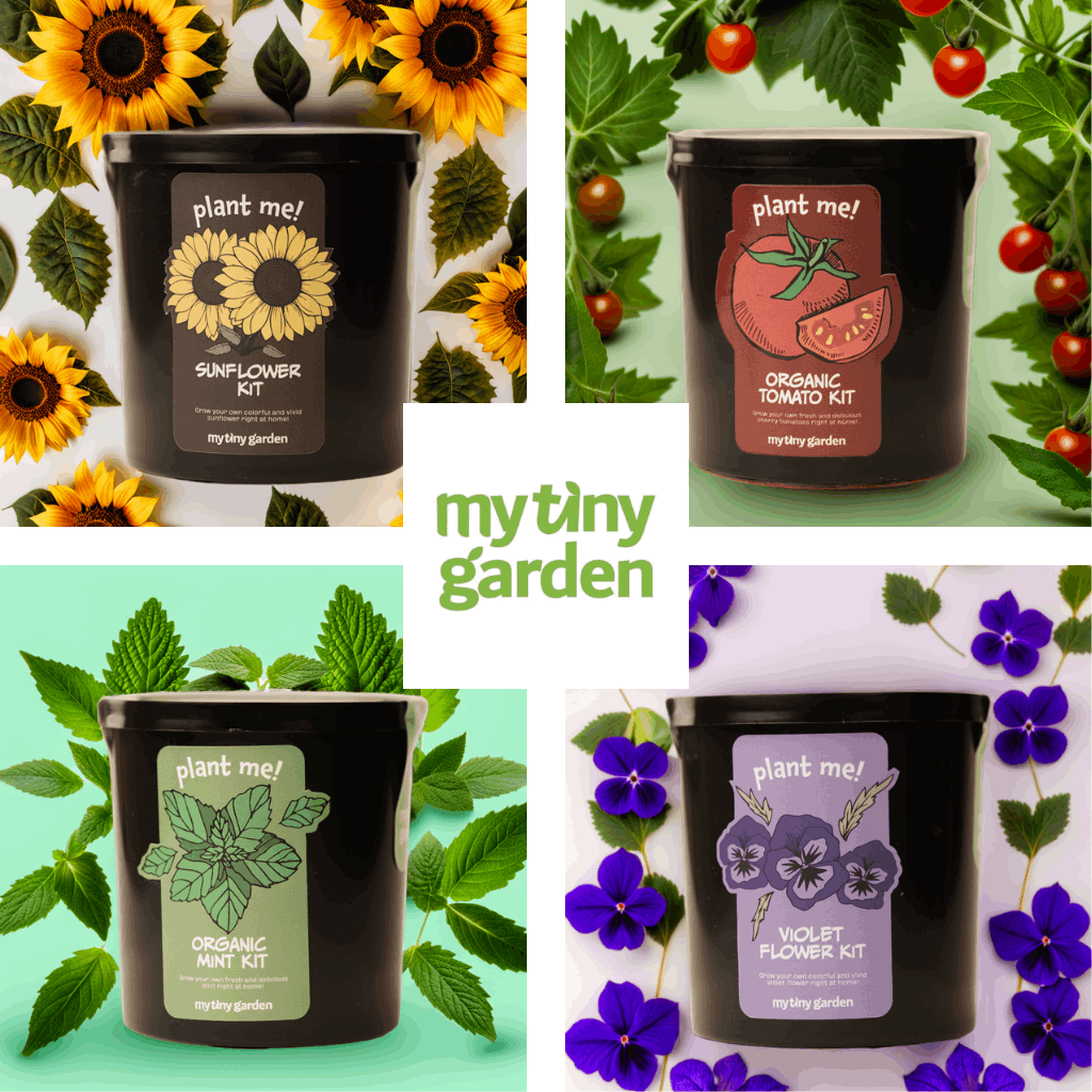 Güneşli Günler Paketi