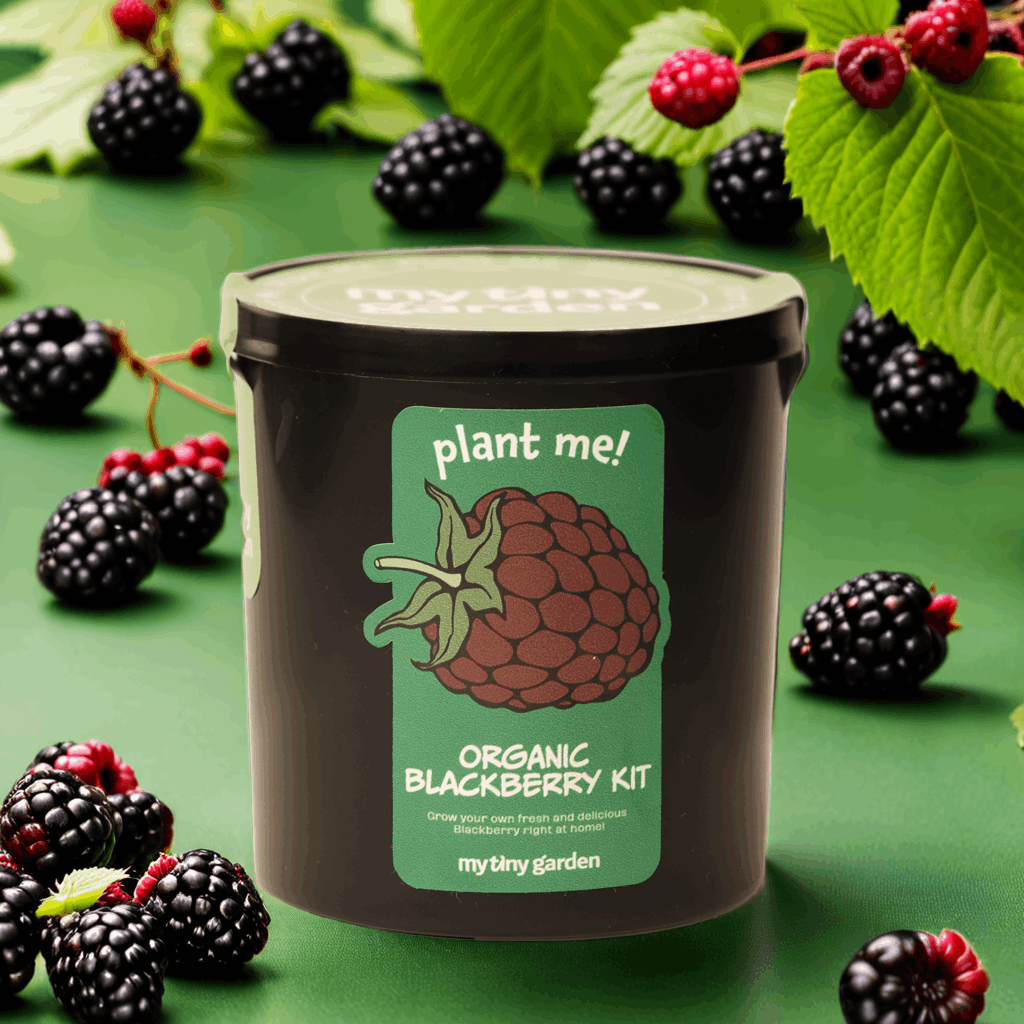 Tatlı Mola görsel 2