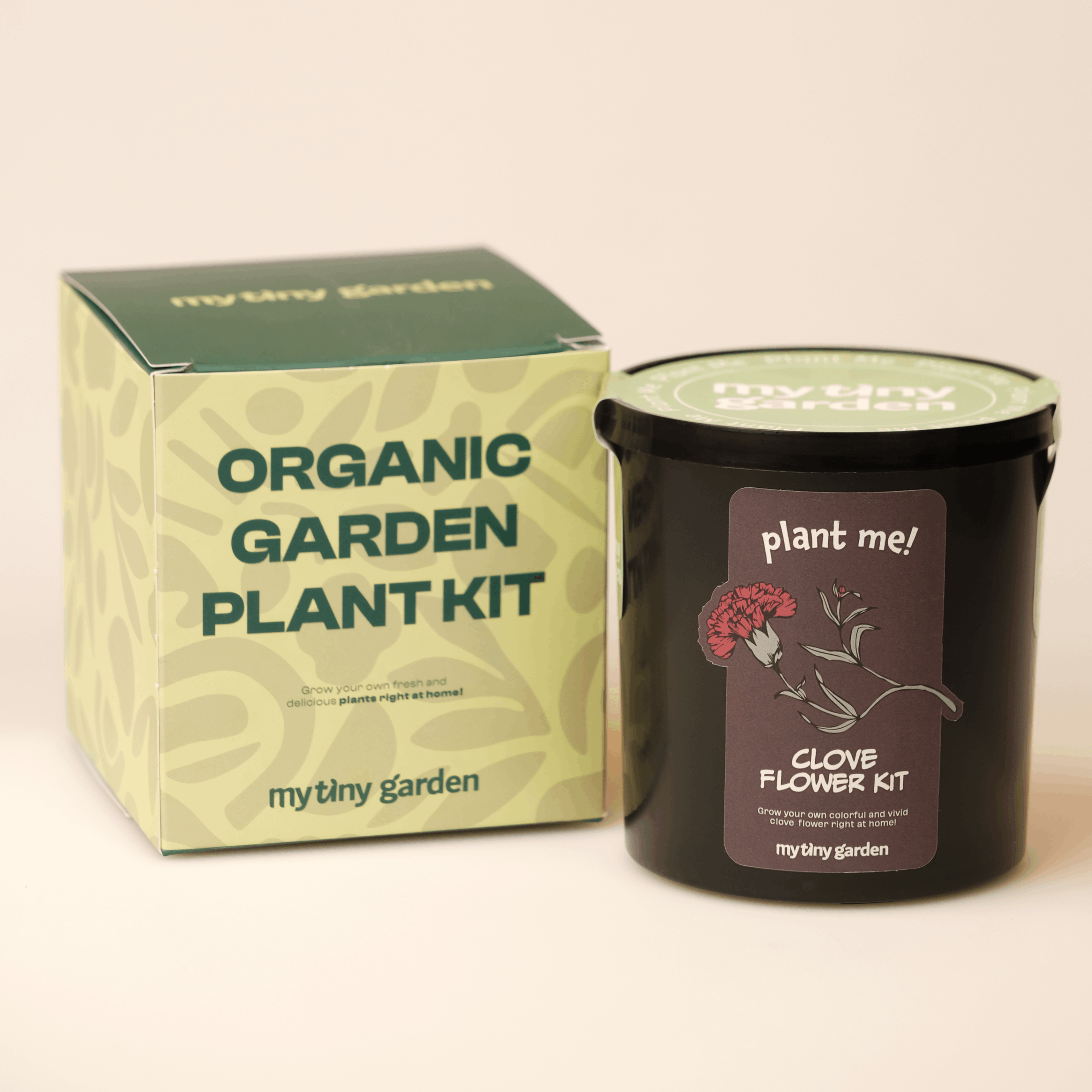 Karanfil Kiti görsel 2