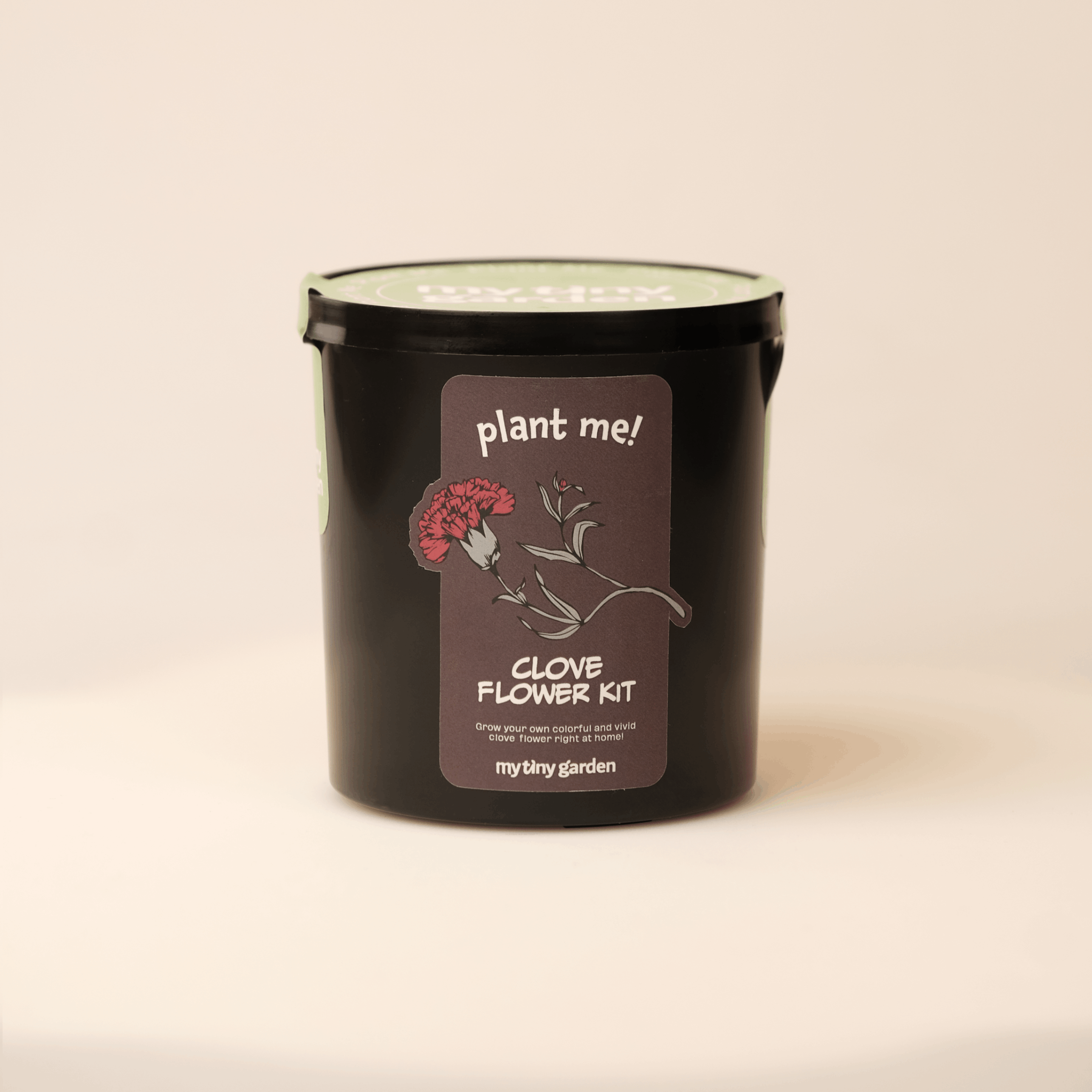 Karanfil Kiti görsel 3