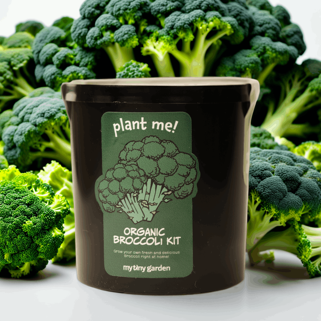 Çiftlikten Masaya görsel 5