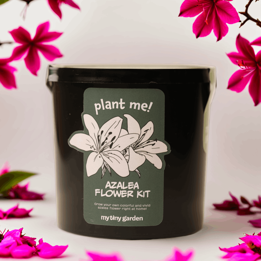 Anne Baharı görsel 2