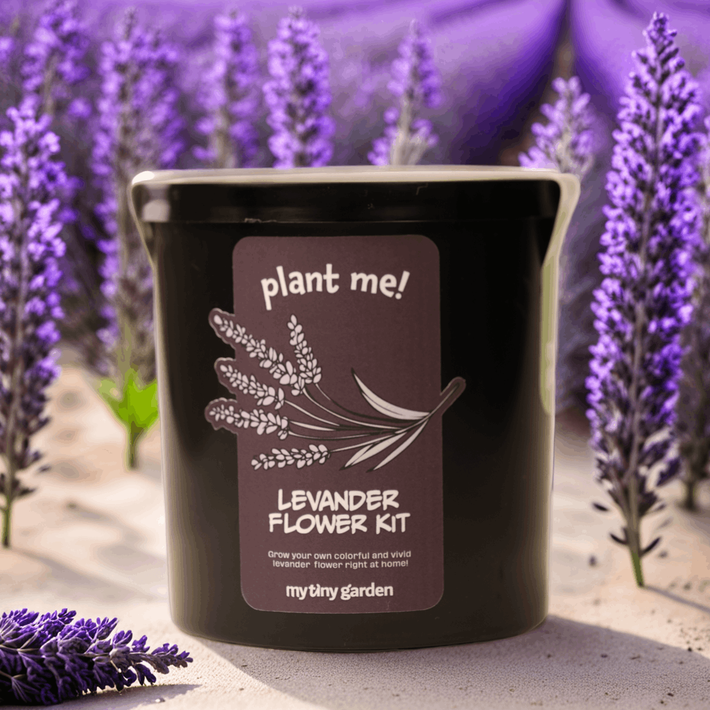 Anne Baharı görsel 3