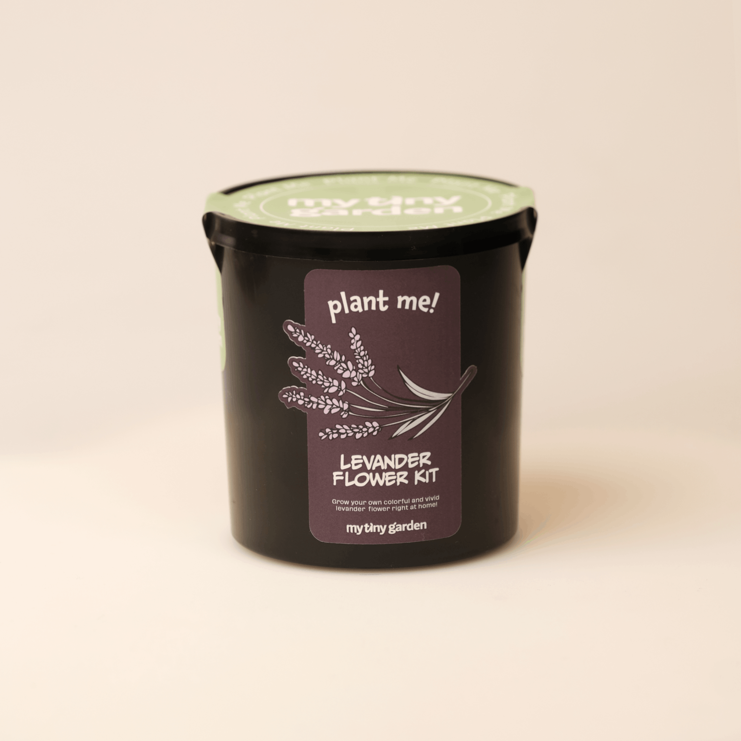 Lavanta Kiti görsel 3