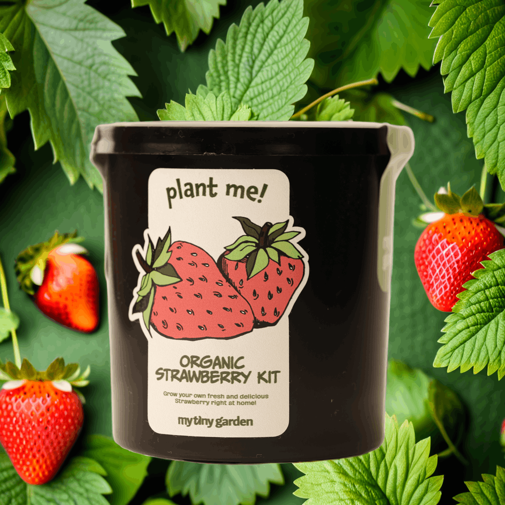 Güne Başlarken görsel 5