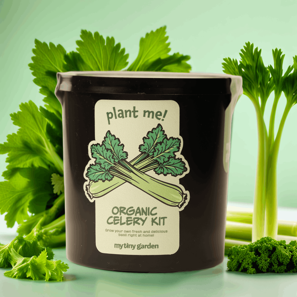 Yeşil Detoks Paketi görsel 5