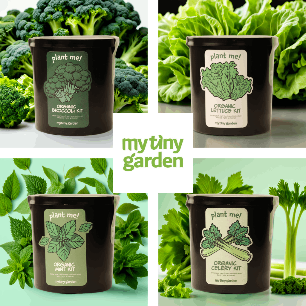 Yeşil Detoks Paketi