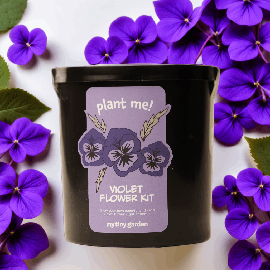 Zen Masası görsel 4